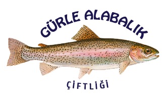 GÜRLE ALABALIK RESTORANT MANİSA GÜRLE KÖYÜ